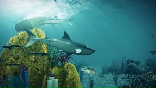 Sharkproject