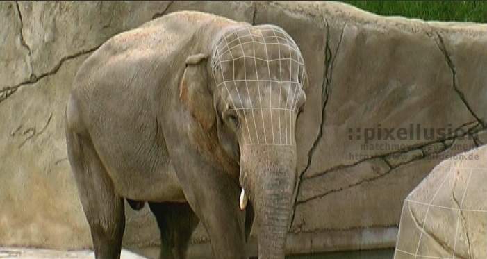 http://www.pixellusion.de/public/mm_elefant.jpg